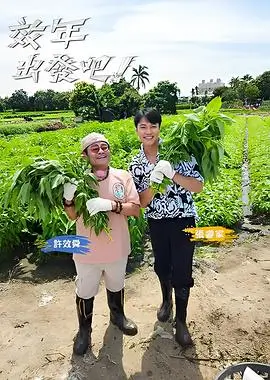 今晚吃什么